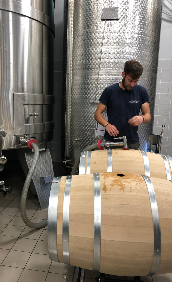 barriques barrique, chêne, chardonnay, l'orée du sabia