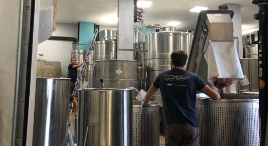 cuve chai, vinification, extraction, l'orée du sabia